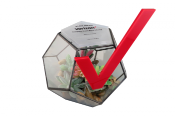 Actual terrarium with a red plexi “V” mounted inside