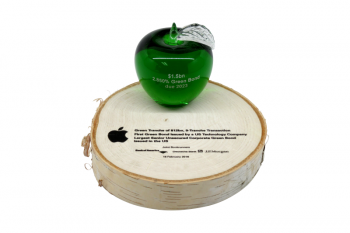 Green crystal apple on a slice of birch