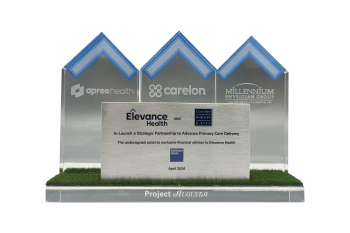 goldman_elevance_crystal_metal_healthcare_logo_artificial_grass