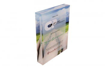 Clear Lucite panel with an image printed on back.